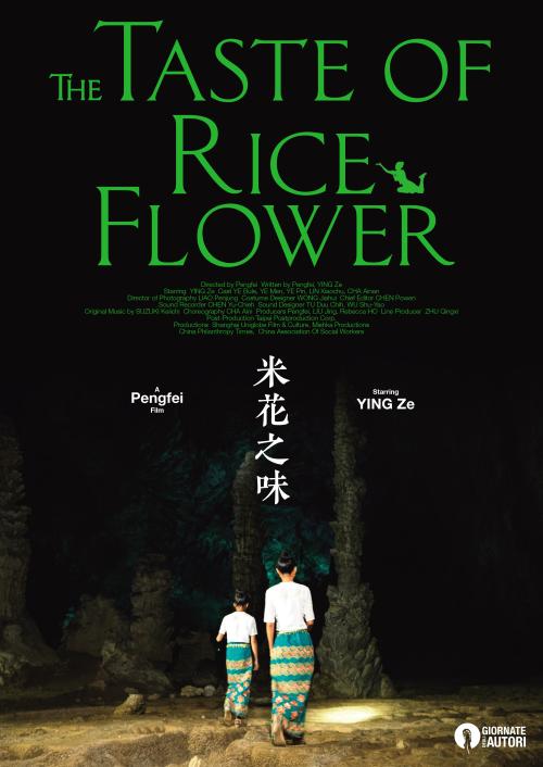 南洋理工学院本科毕业证